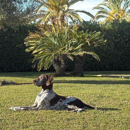 La Calma Espectacular Villa Con Jardin Y Piscina En Menorca S'Algar Buitenkant foto